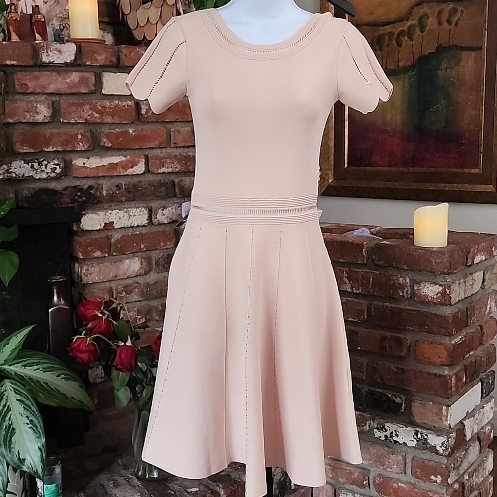 Sandro Paris Blush Pink Fit & Flare Knit Dress Short Sleeve A-Line